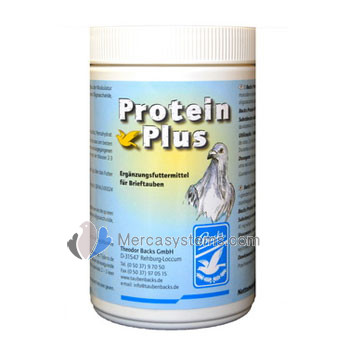 Backs pigeons products: Protein Plus