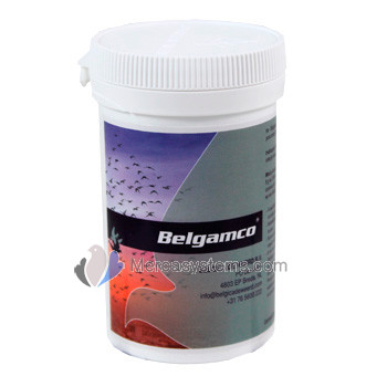 Belgica De Weerd BelgAmco 80gr (Sindrome Adenocoli) Para Palomas y pájaros