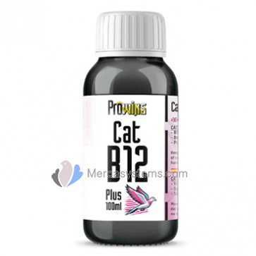 Prowins Cat-B12 Plus 100ml