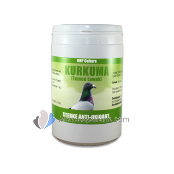 DHP Cultura Kurkuma Temoe Lawak 500 gr (Cúrcuma, antioxidante que ayuda a la digestión) Para Palomas y Pájaros