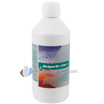BelgaGarlic + Vitamina E 500 ml "de Belgica de Weerd" (aceite de ajo + vitamina E). productos para palomas