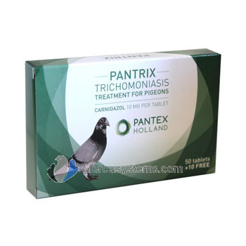 NUEVO Pantex Pantrix 50 pastillas