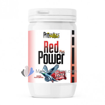 Prowins Red Power Plus 150gr