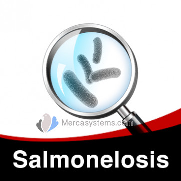 Tratamiento contra Salmonelosis en Palomas (salmonella typhimurium)
