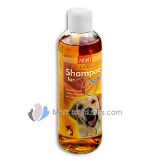 MedPet Tea Tree Oil Shampoo 250ml, (Champú de árbol de té para los perros, que repele de manera natural garrapatas y pulgas).