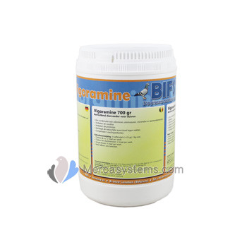 Bifs Vigoramine 700gr, (vitaminas, aminoácidos y oligoelementos)