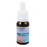 Belgica De Weerd Ectopar 10 ml (antiparasitario externo en gotas)