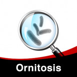 Tratamiento contra Ornitosis en Palomas