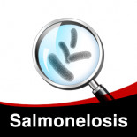 Tratamiento contra Salmonelosis en Palomas (salmonella typhimurium)